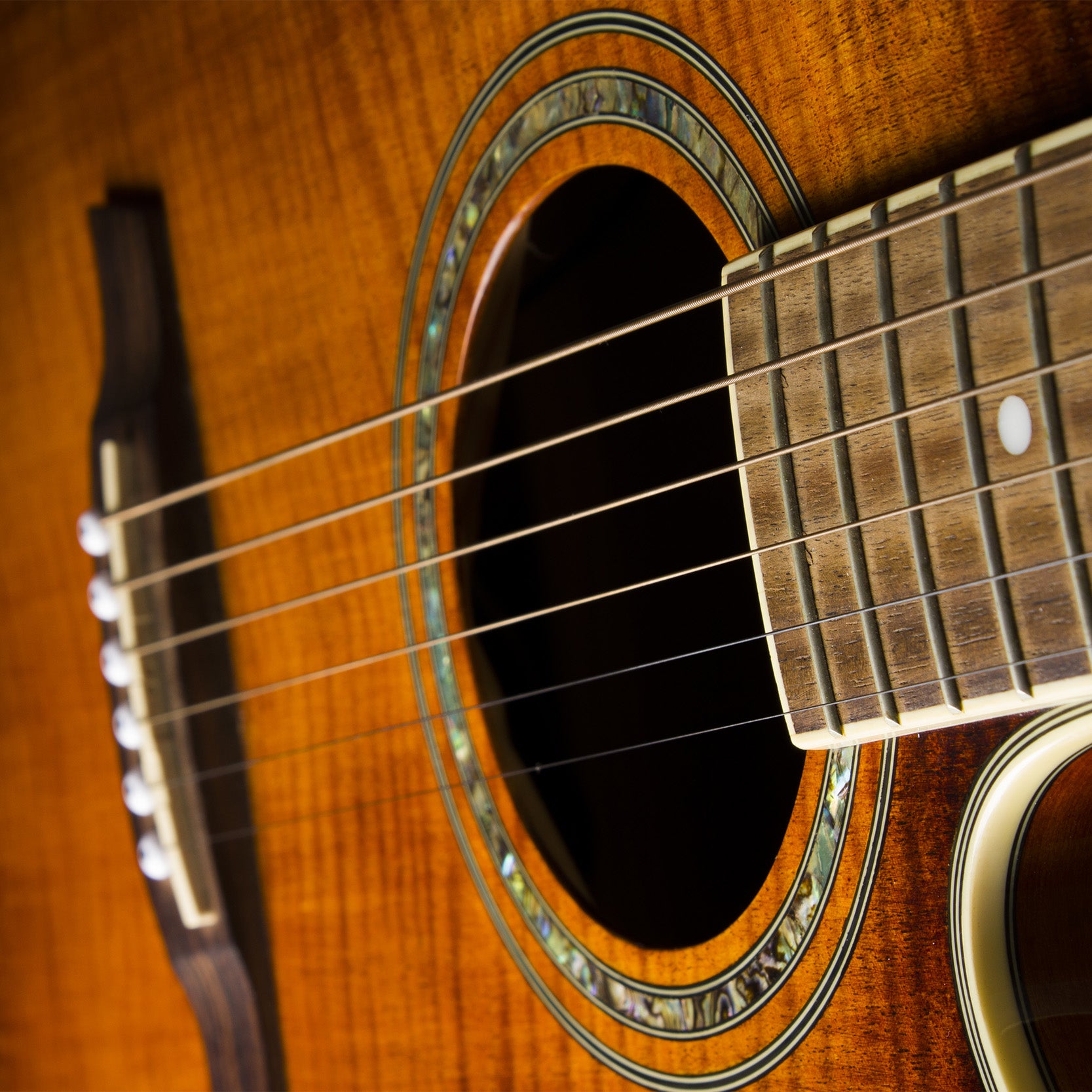 Dov-Music | String Instruments, Parts, & Accessories