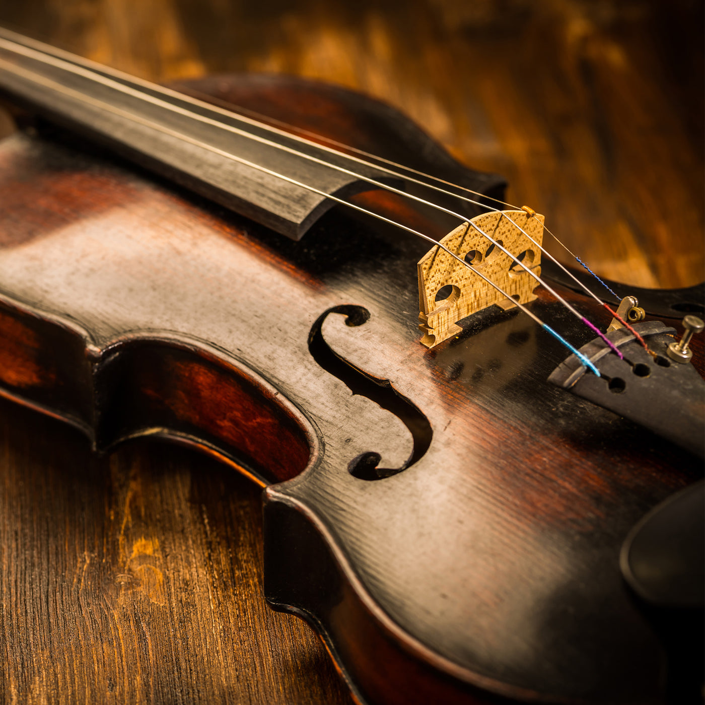 Dov-Music | String Instruments, Parts, & Accessories