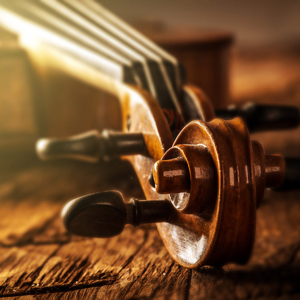 Dov-Music | String Instruments, Parts, & Accessories