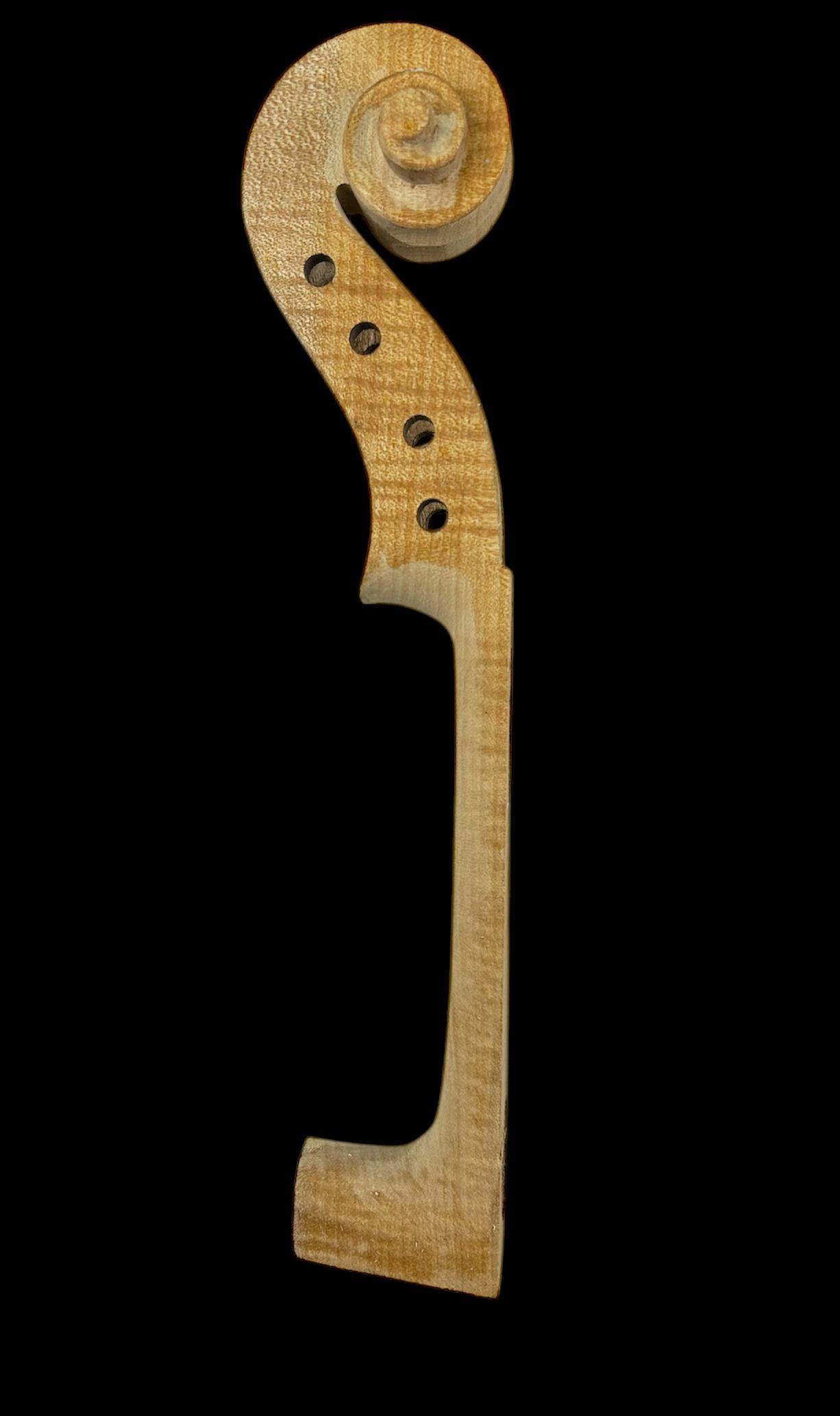 Violin Scroll-Flamed Maple