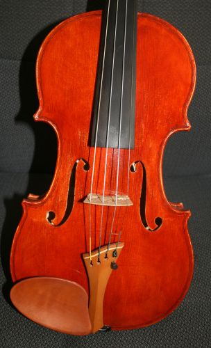 Violin- Dov Schmidt