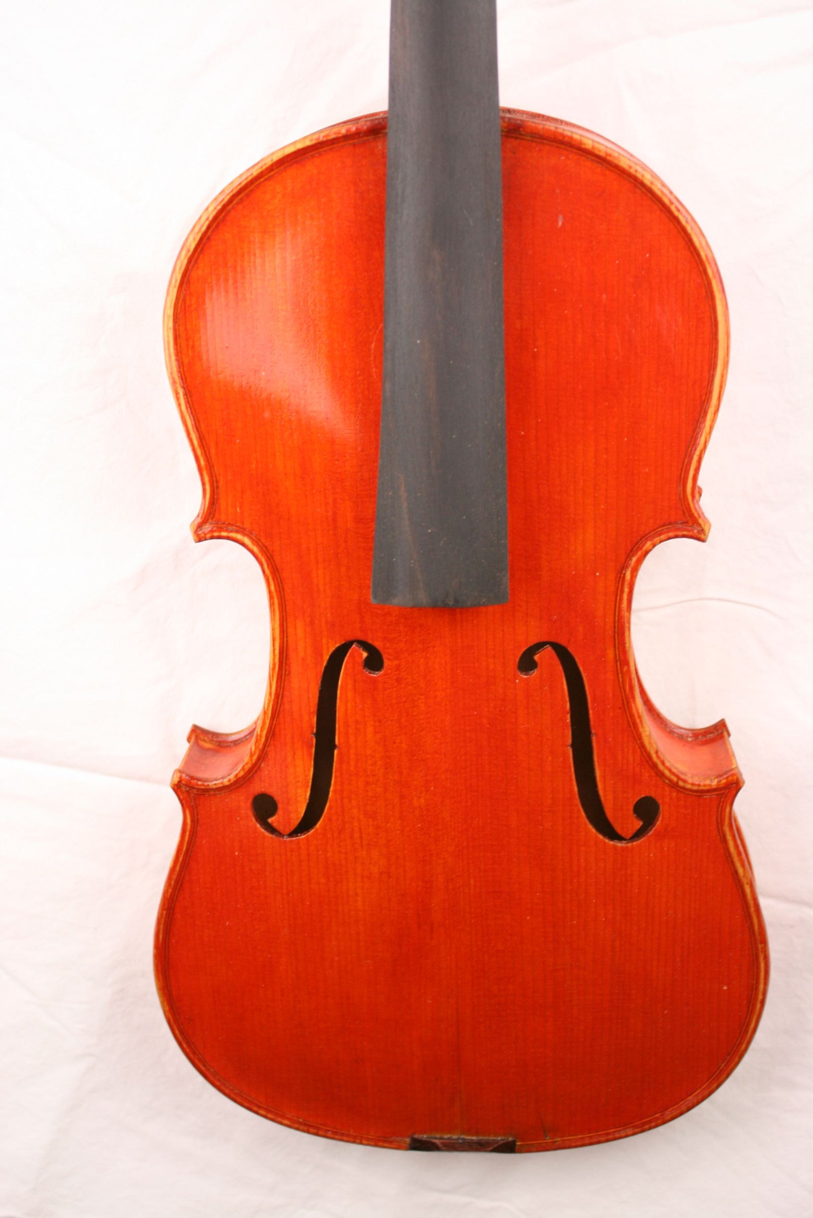 Viola-15"