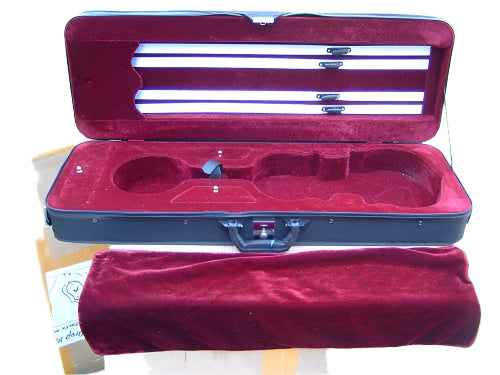 Violin case