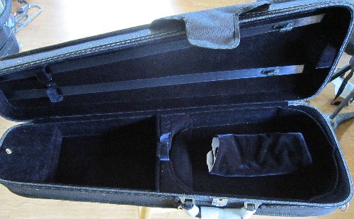 Viola case-suspension