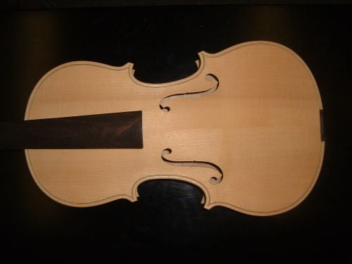 Violin in the white.